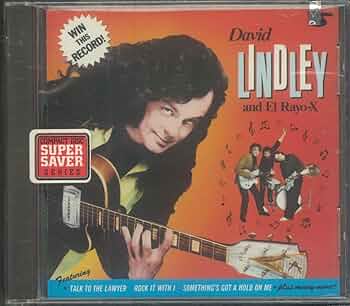 80s USA製 DAVID LINDLEY デヴィッド リンドレー ラスタ希少 80s USA製デヴィッド リンドレーバンドTシャツサイン入り